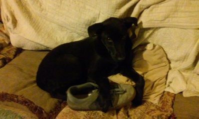 20161029_211118.jpg 20161029_211118.jpg