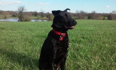 20170326_171237_resized (1).jpg 20170326_171237_resized (1).jpg