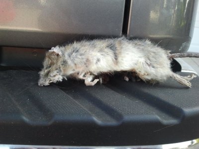 2012-10-18 15.17.04.jpg