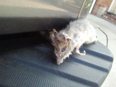 2012-10-18 15.17.18.jpg