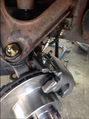 IMG_1165.JPG IMG_1165.JPG