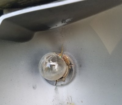 20170411_190858.jpg 20170411_190858.jpg