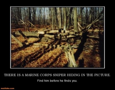 there-is-a-marine-corps-sniper-hiding-in-the-picture-marine-demotivational-posters-1293126706.jpg