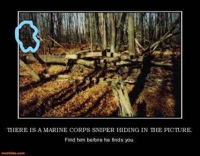 Marine Sniper.jpg