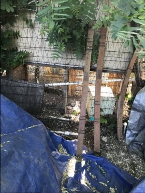 IMG_6160.JPG IMG_6160.JPG