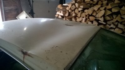 WP_20170420_09_44_29_Pro.jpg WP_20170420_09_44_29_Pro.jpg