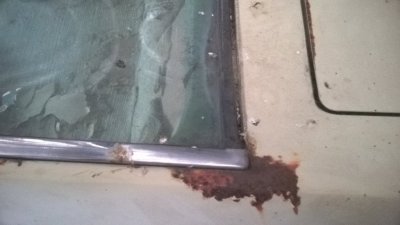 WP_20170420_09_44_37_Pro.jpg WP_20170420_09_44_37_Pro.jpg