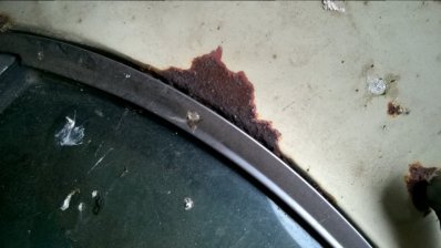 WP_20170420_09_45_09_Pro.jpg WP_20170420_09_45_09_Pro.jpg