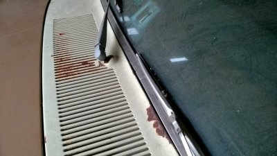 WP_20170420_09_45_13_Pro.jpg WP_20170420_09_45_13_Pro.jpg