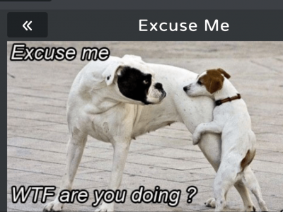 IMG_0803.PNG
