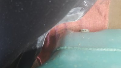 20170423_111443.jpg 20170423_111443.jpg