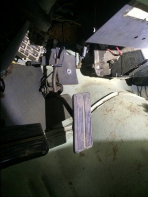 image.jpeg image.jpeg