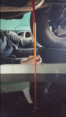 20170426_175528.jpg 20170426_175528.jpg