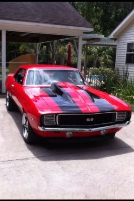 IMG_3901.JPG IMG_3901.JPG