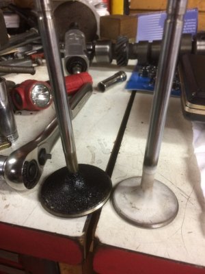 IMG_7604.JPG IMG_7604.JPG