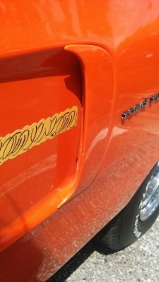 IMG_20170429_114011.jpg