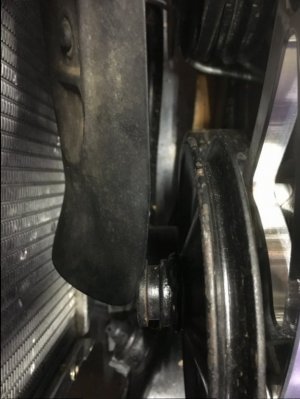 IMG_4806.JPG IMG_4806.JPG