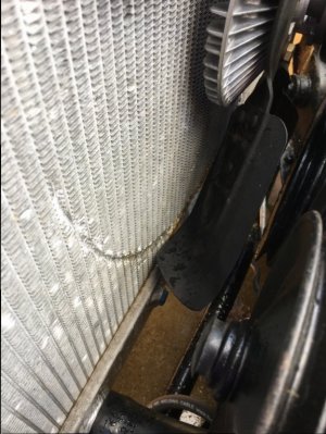 IMG_4808.JPG IMG_4808.JPG