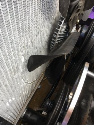 IMG_4809.JPG IMG_4809.JPG