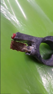 20170509_065915.jpg 20170509_065915.jpg