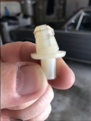 IMG_0727.JPG IMG_0727.JPG