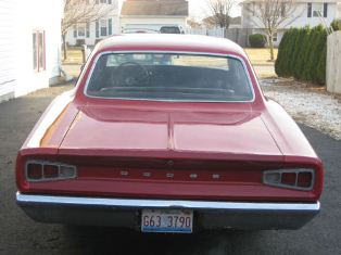 coronet tail.jpg