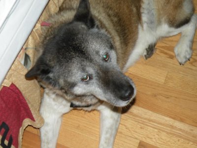 65 HEMI BELVEDERE 582 HEMI UPDATE 007.jpg