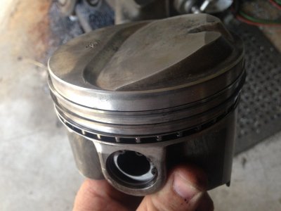 IMG_1682.JPG IMG_1682.JPG