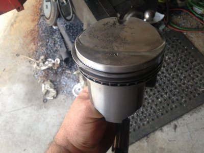 IMG_1683.JPG IMG_1683.JPG