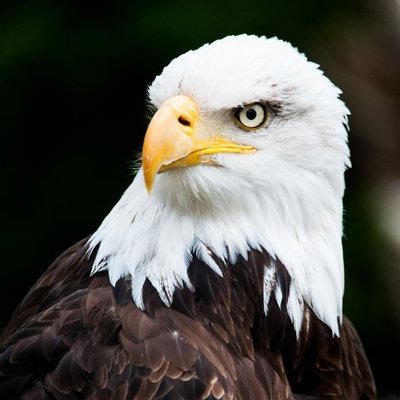 18318945_1818458365131601_7204226653418357131_o.jpg