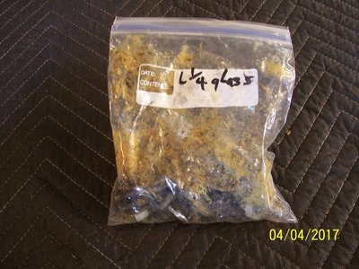 100_1901.JPG 100_1901.JPG