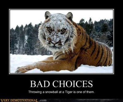 3adb036fe32891e9848f25b300e8ee53_funny-memes-meme-of-february_700-583.jpg