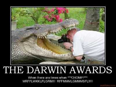 the-darwin-awards-stupid-alligator-crocodile-darwin-pwnage-demotivational-poster-1263246696.jpg