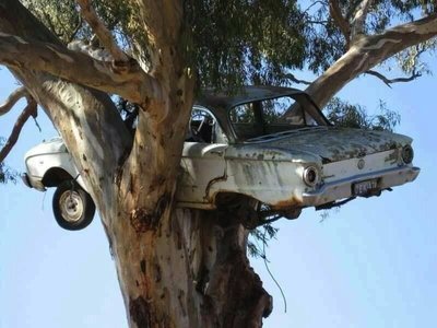 Image 5-18-17 at 10.11 PM.jpeg