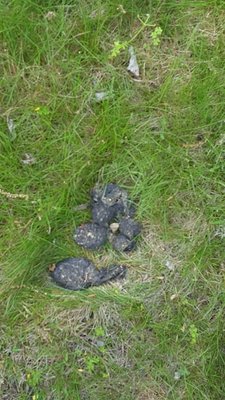 20170519_144636.jpg