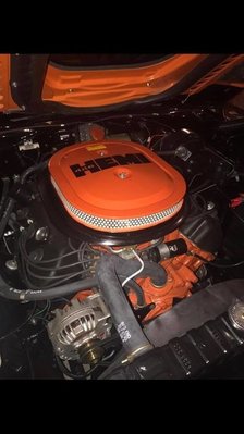 18620310_445772409119659_4145416933432949163_n.jpg