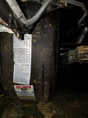 Front facing back.jpg Front facing back.jpg