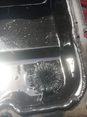 IMG_1575.JPG IMG_1575.JPG