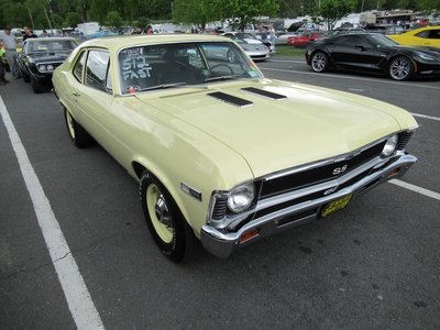 5.28.17 100.jpg 5.28.17 100.jpg