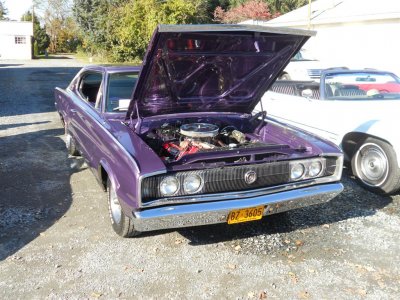 DSCN3590 (Large).JPG