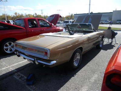 DSCN3622 (Large).JPG