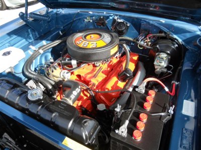 DSCN3630 (Large).JPG