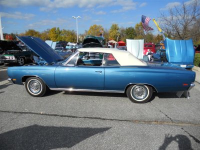 DSCN3637 (Large).JPG