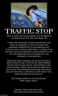 traffic stop.jpg