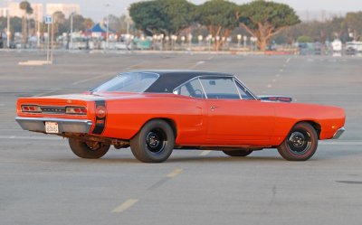 SuperBee3.jpg