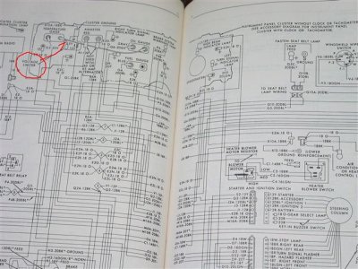 IMG_3100 (Small).JPG