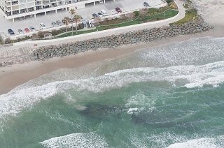 4513952502_d22ef19950_z.jpg 4513952502_d22ef19950_z.jpg