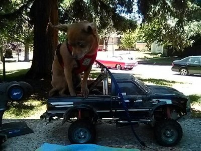 PART_1498258405917_IMG_20170623_1225101.jpg