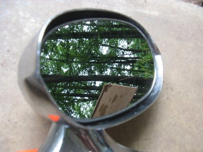 IMG_8542.JPG