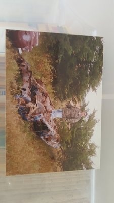 1968 charger 1998.jpg